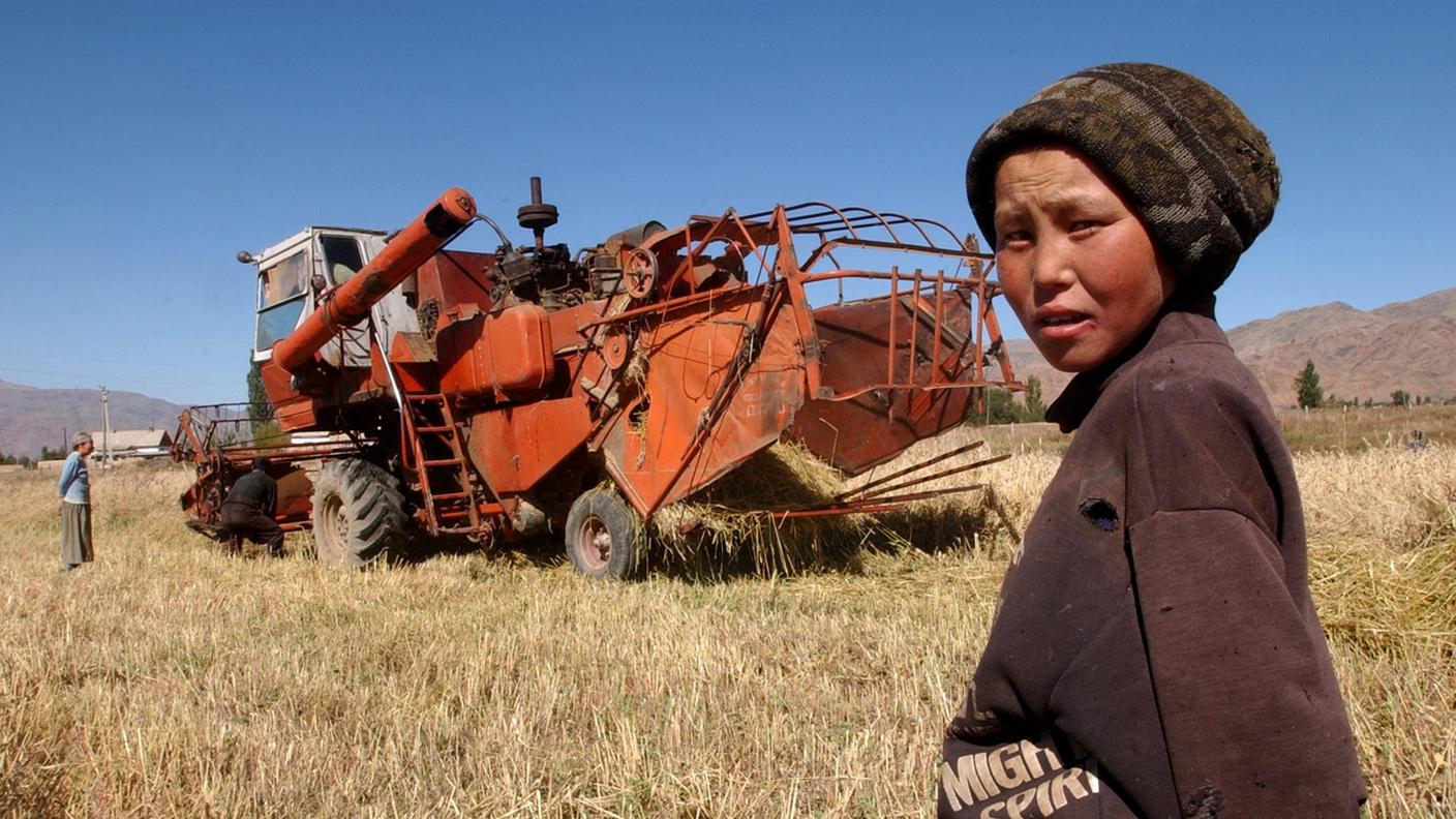 Settembre 2002. Raccolta del grano con una mietitrebbia nella regione di Kochkor, in Kirghizistan, dove la Direzione dello sviluppo e della cooperazione (DSC) ha finanziato progetti di Helvetas per migliorare i redditi e le condizioni di vita delle famiglie contadine.