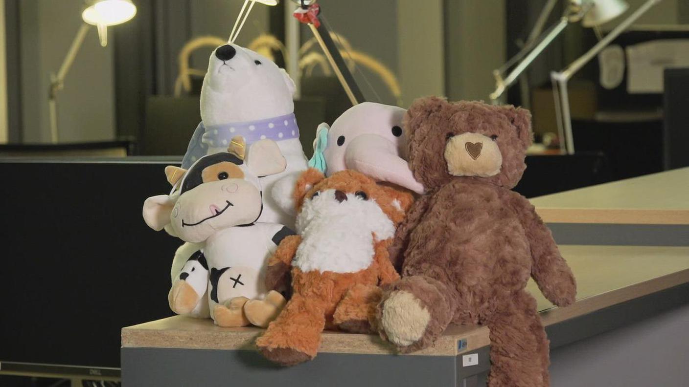 Sui 6 peluche non conformi, 5 provenivano dai siti web cinesi Shein, Temu e AliExpress