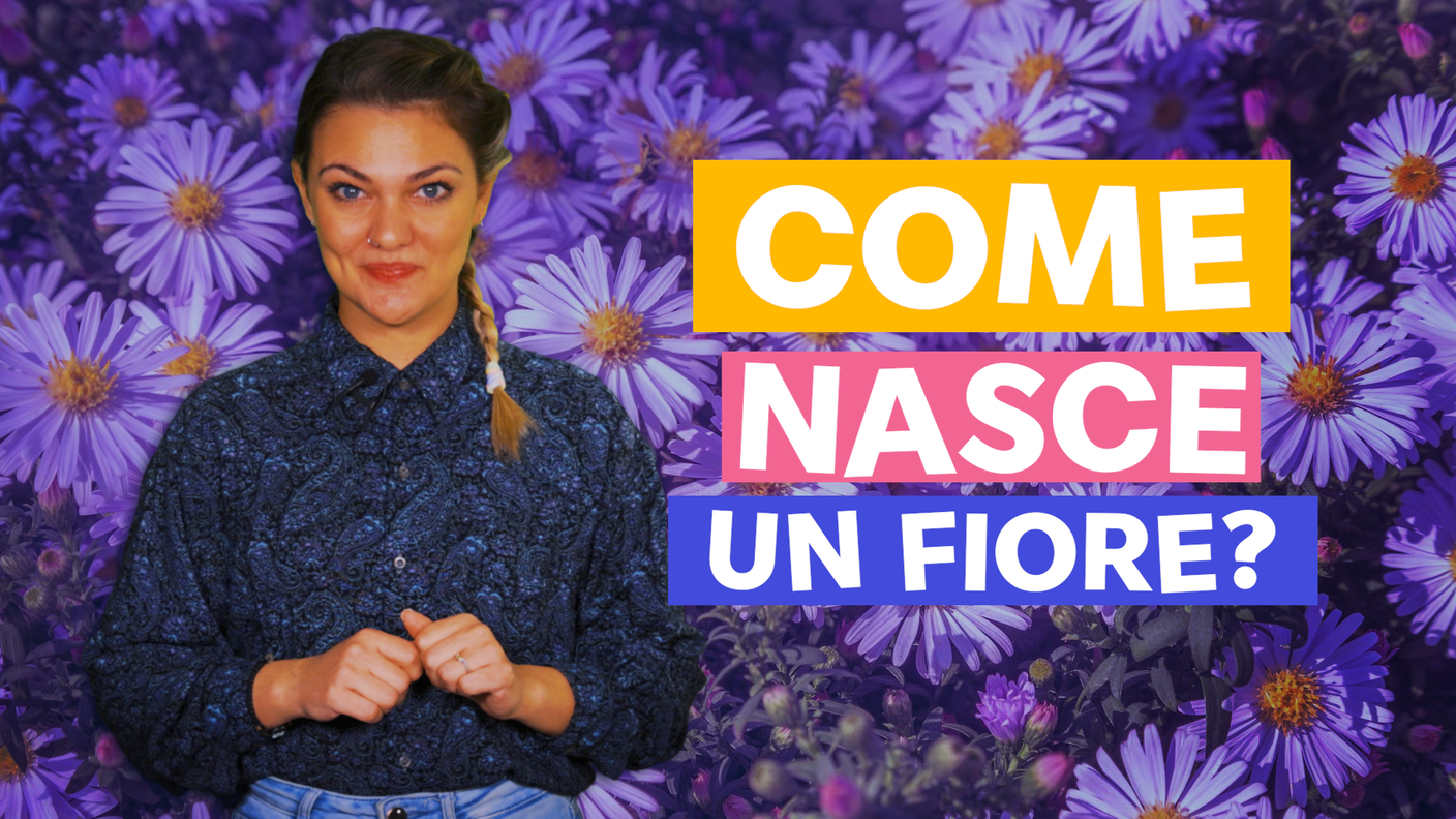 Fiori