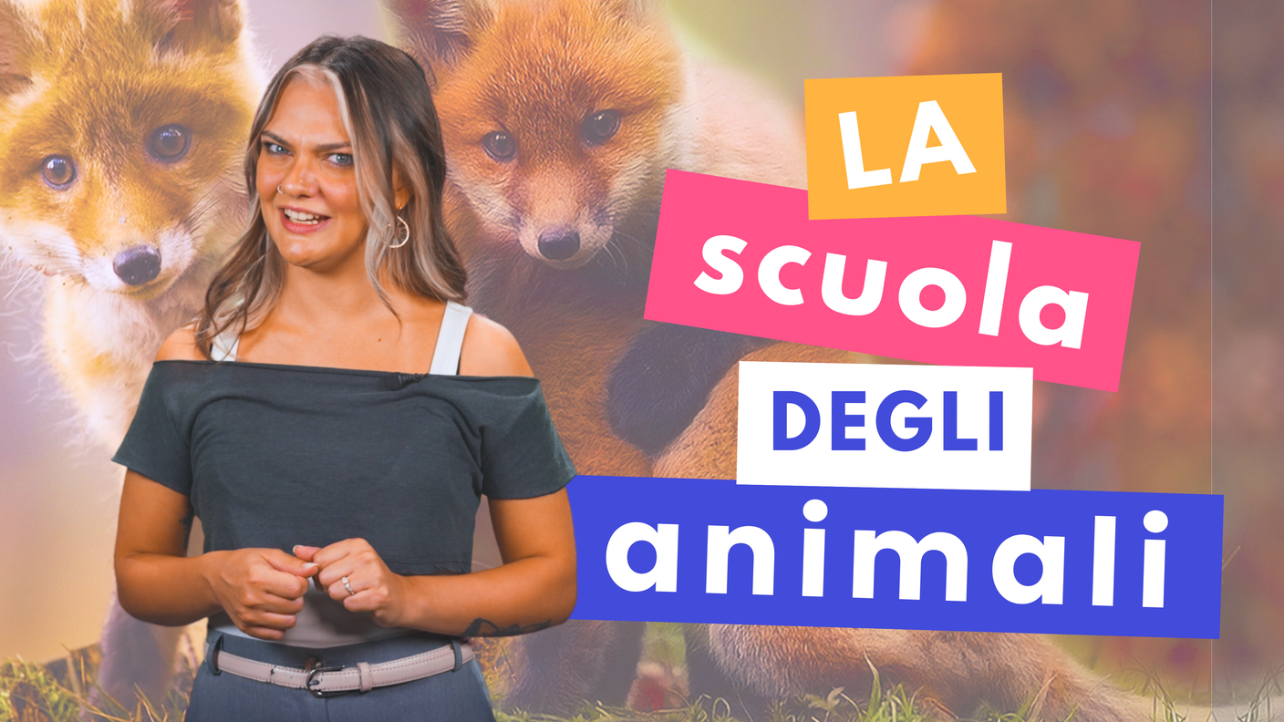 CopertinaScuolaAnimali.png