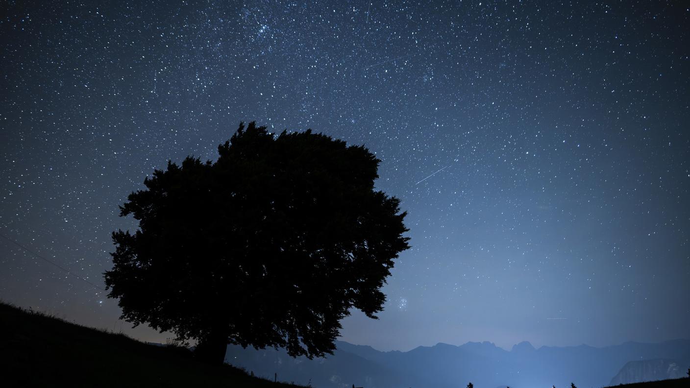 Fino al 30 novembre sarà possibile vedere le meteore dello sciame delle Leonidi
