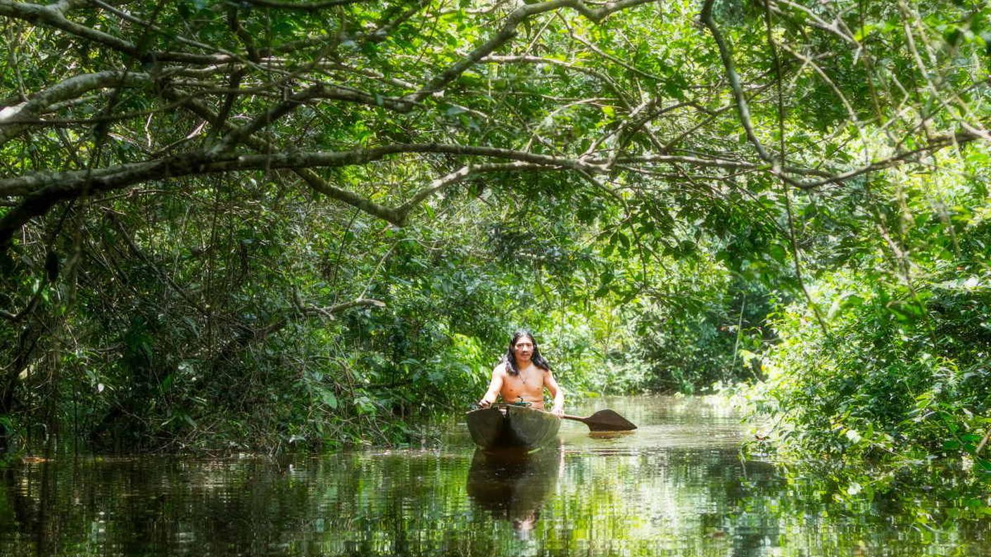 indigeni foresta pluviale