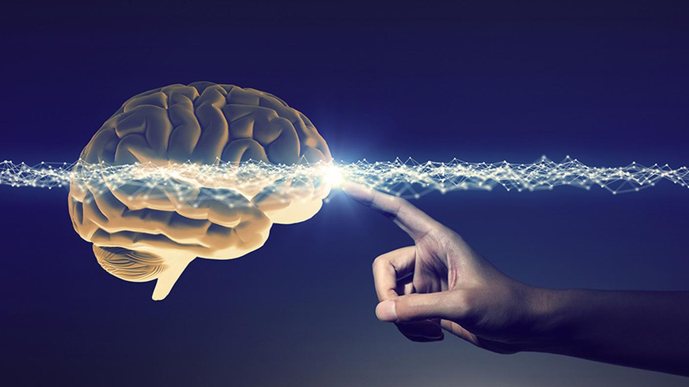 neuroestetica.jpg