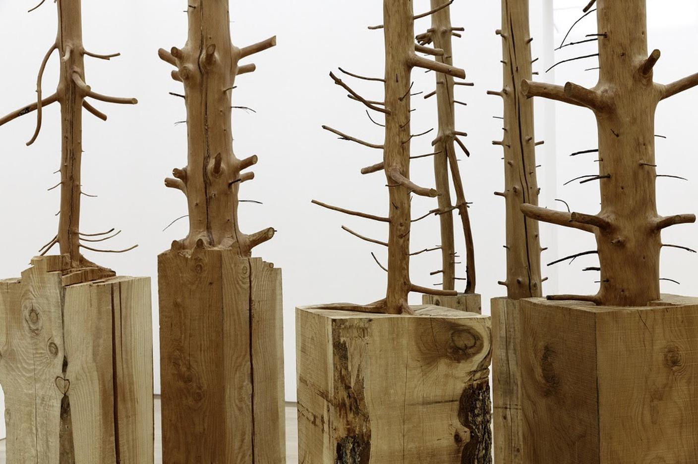 Giuseppe Penone, Ripetere il bosco [dettaglio], 1969-2022. Installazione Voorlinden Museum, Wassenaar 2022. Foto © Archivio Penone, SIAE 2024.jpg