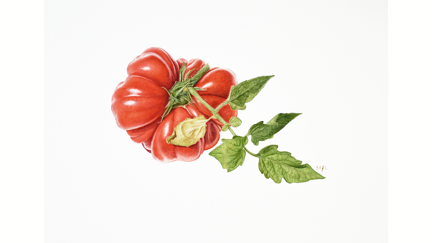 1280x800-2025-03-25T121240.751.png