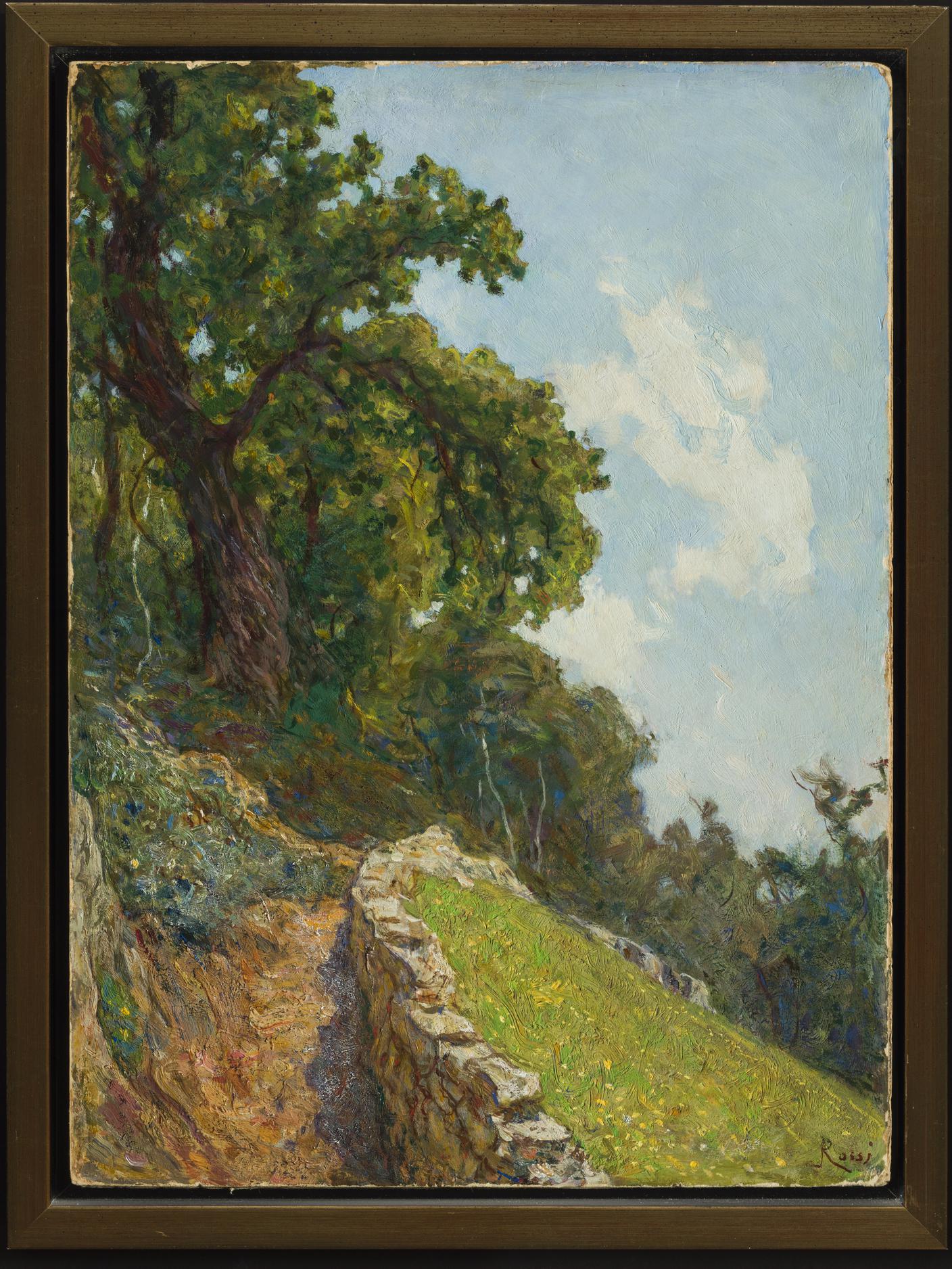 2_L.ROSSI_Sentiero_di_montagna_1910-1915_╕_MVdC_Foto_R.Pellegrini.jpg