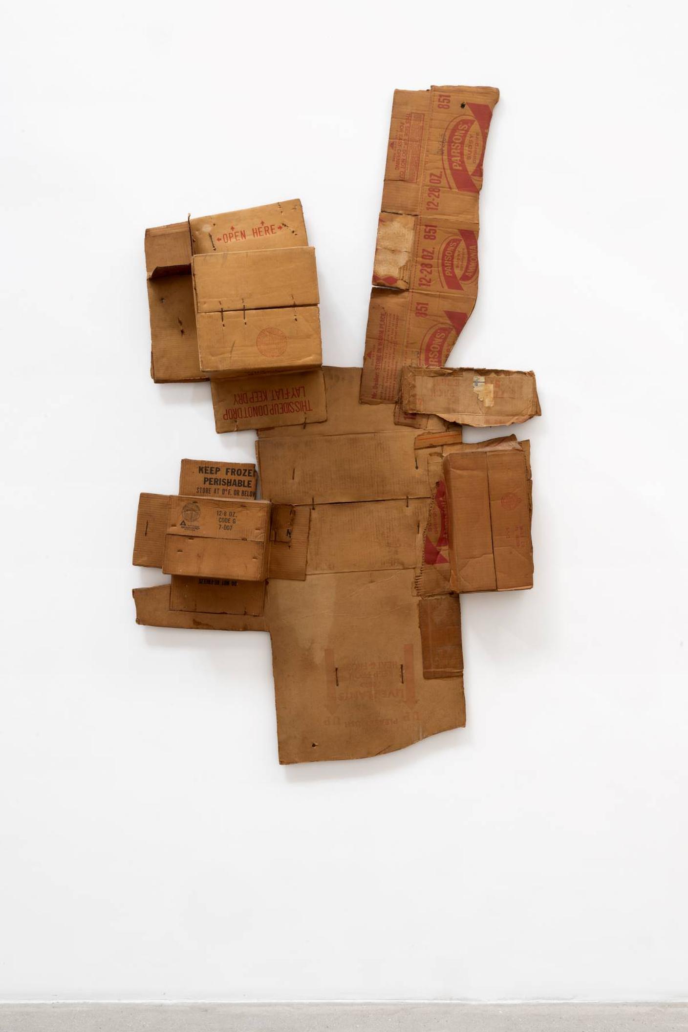 Robert Rauschenberg, Parsons' Live Plants Ammonia (Cardboard), 1971. © Robert Rauschenberg Foundation; ARS, New York, 2025; Galerie Thaddaeus Ropac. Photo © Blindarte; Photo Laura Eboli.jpg