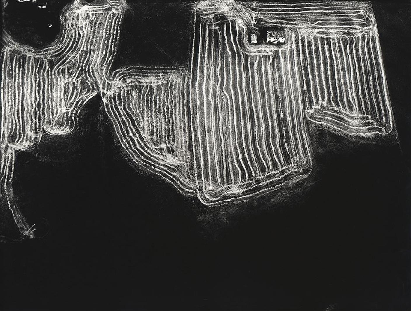 Mario Giacomelli, Presa di coscienza sulla natura, 1976-80 © Archivio Mario Giacomelli.jpg