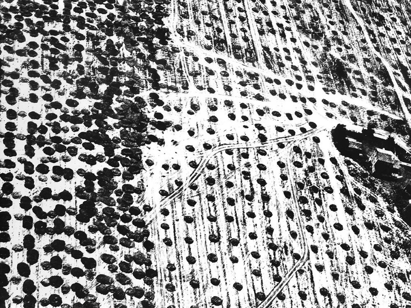 Mario Giacomelli, L’infinito, 1986_88 © Archivio Mario Giacomelli.jpg