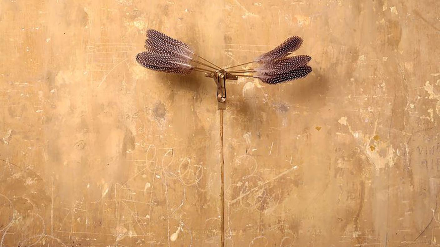 Rebecca Horn, Federflügel, 1992. Collezione Institut fūr Auslandsbeziehungen e.V. © Paolo Pellion di Persano © REBECCA HORN, by SIAE 2025.jpg