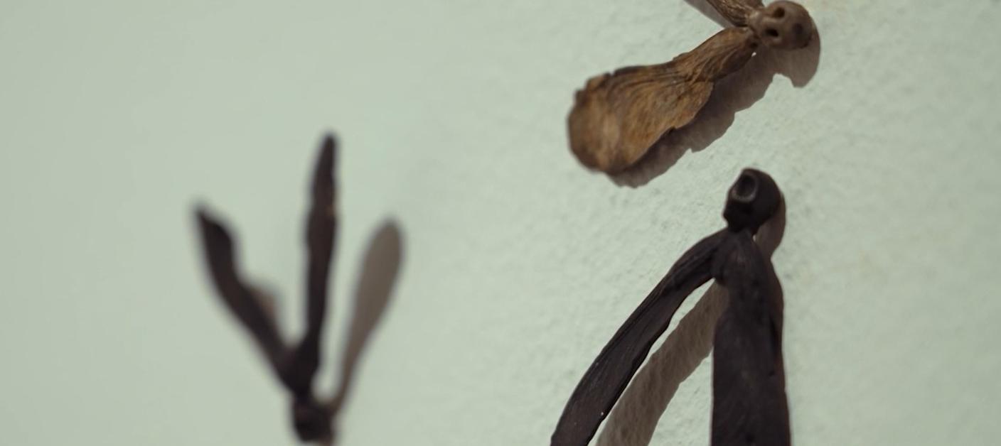 Lisa Lurati, (Particolare), Kromya Art Gallery, Lugano