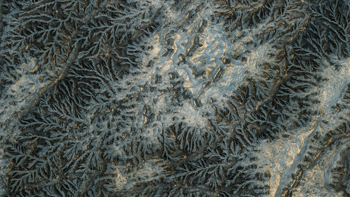 Struttura di un micelio