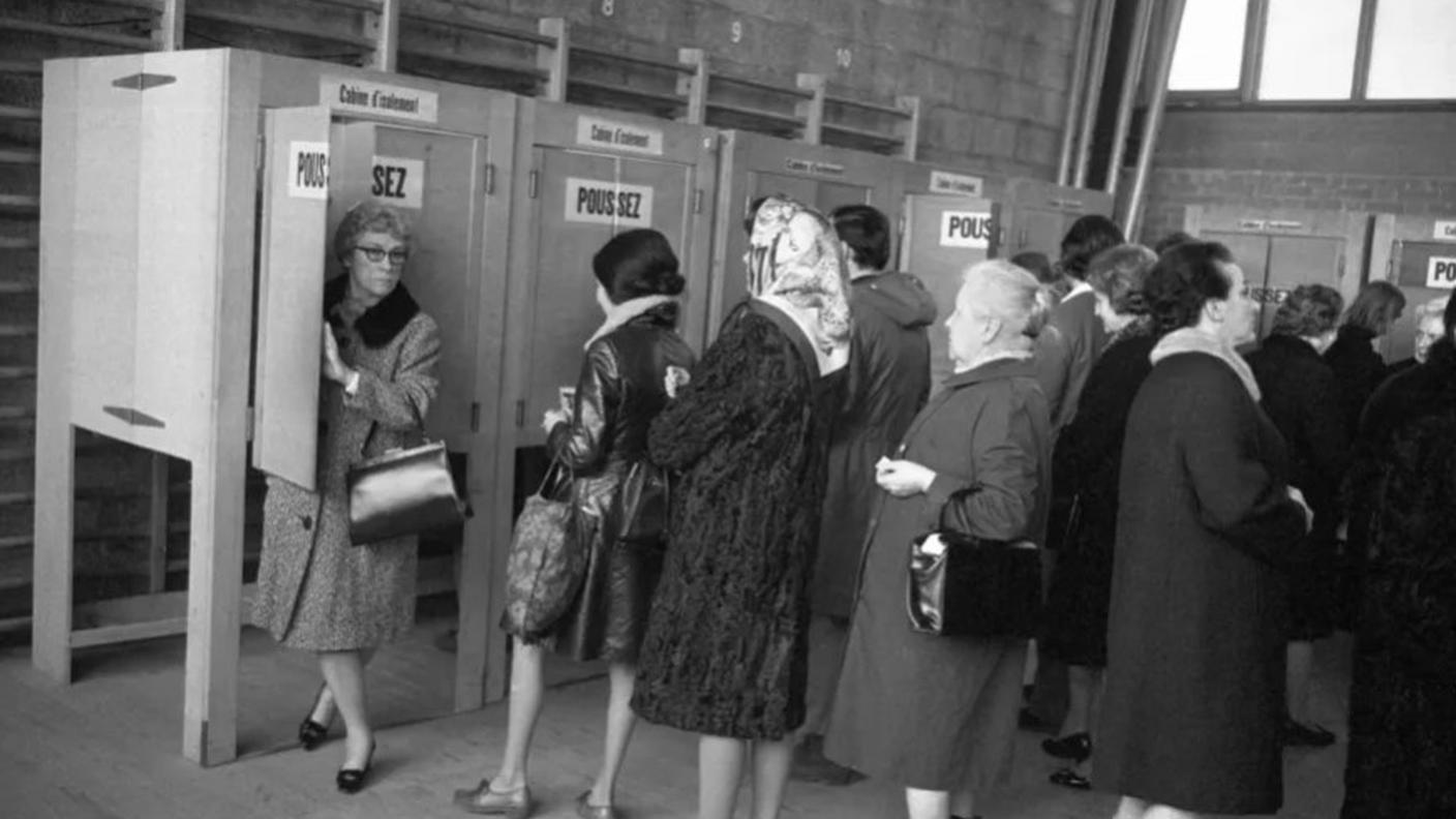 Immagine 2026-03-10 095837.jpg