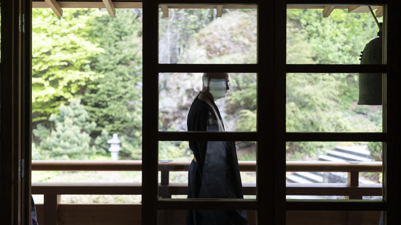 Fondazione Felsentor: meditazione camminata nello zendo Rigi Romiti, foto scattata il 5 maggio 2018