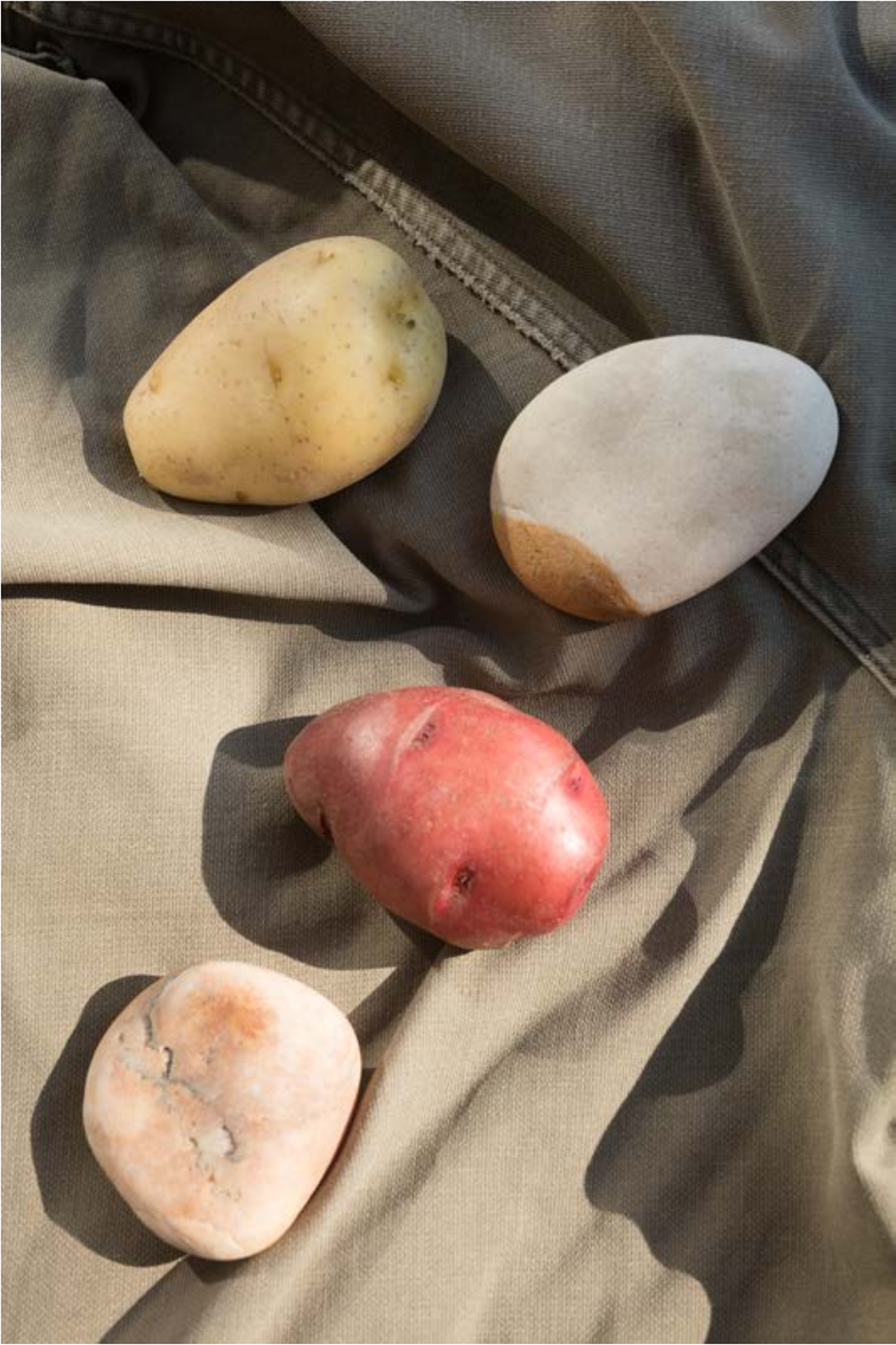 Wolfgang Tillmans, Echo Beach, 2017