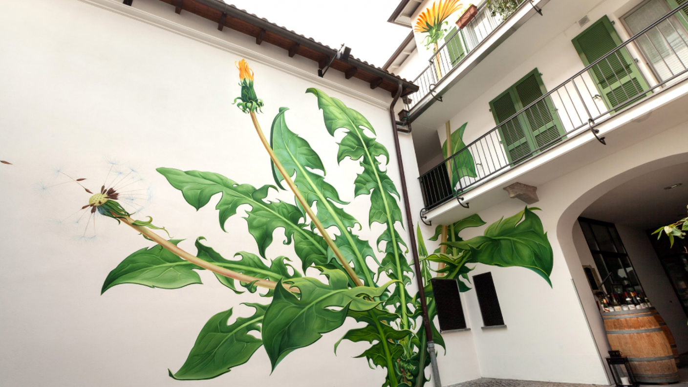Un'opera di Mona Caron a Mendrisio