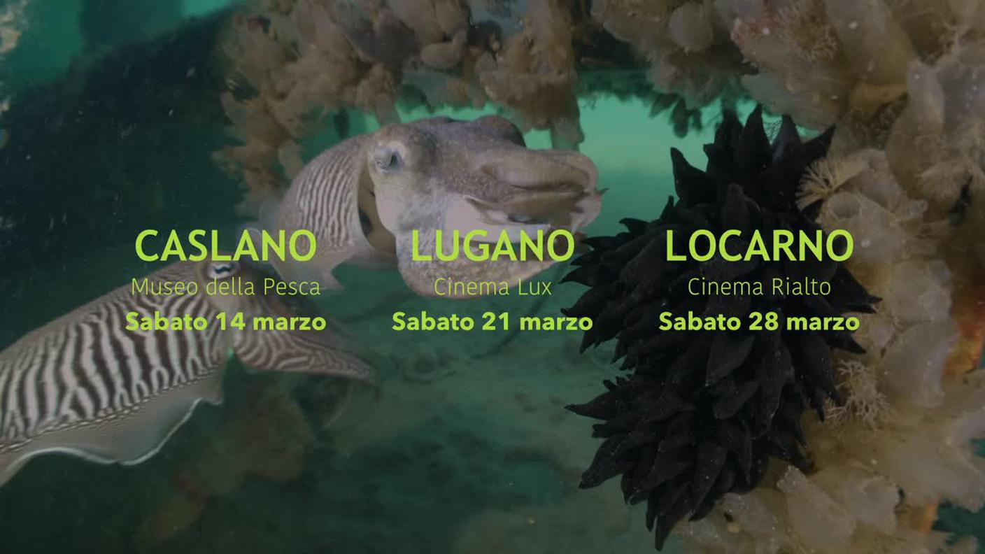 5000_2c738060022aaabe128fd2bfec828750