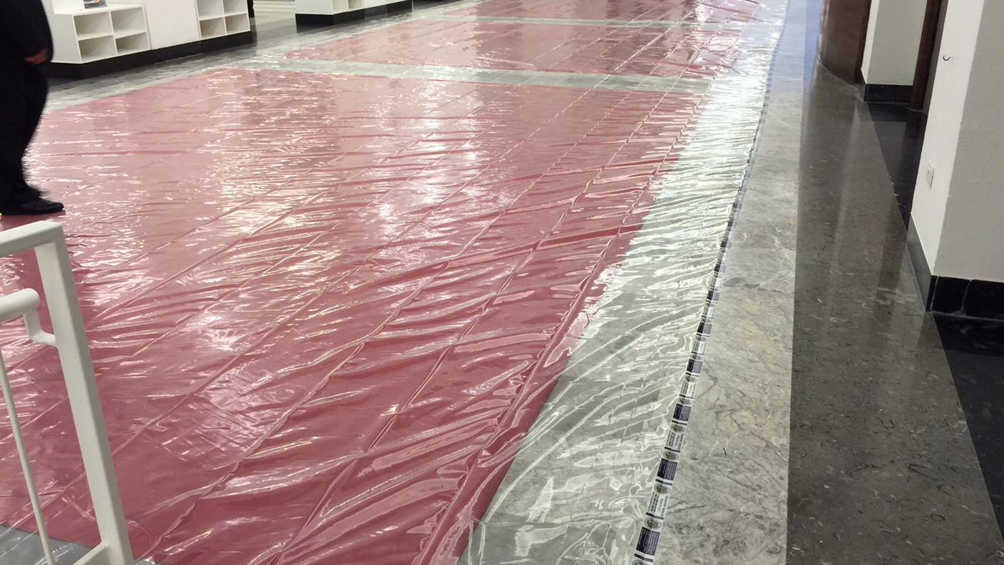 RED CARPET CELLOPHANE