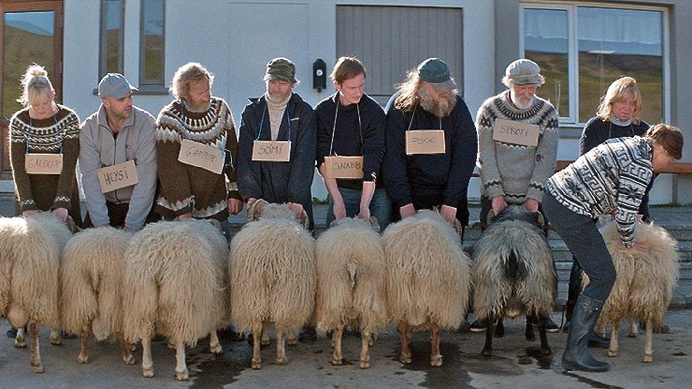 Il film "Hrutar" di Grimur Hakonarson ha trionfato tra le fiction