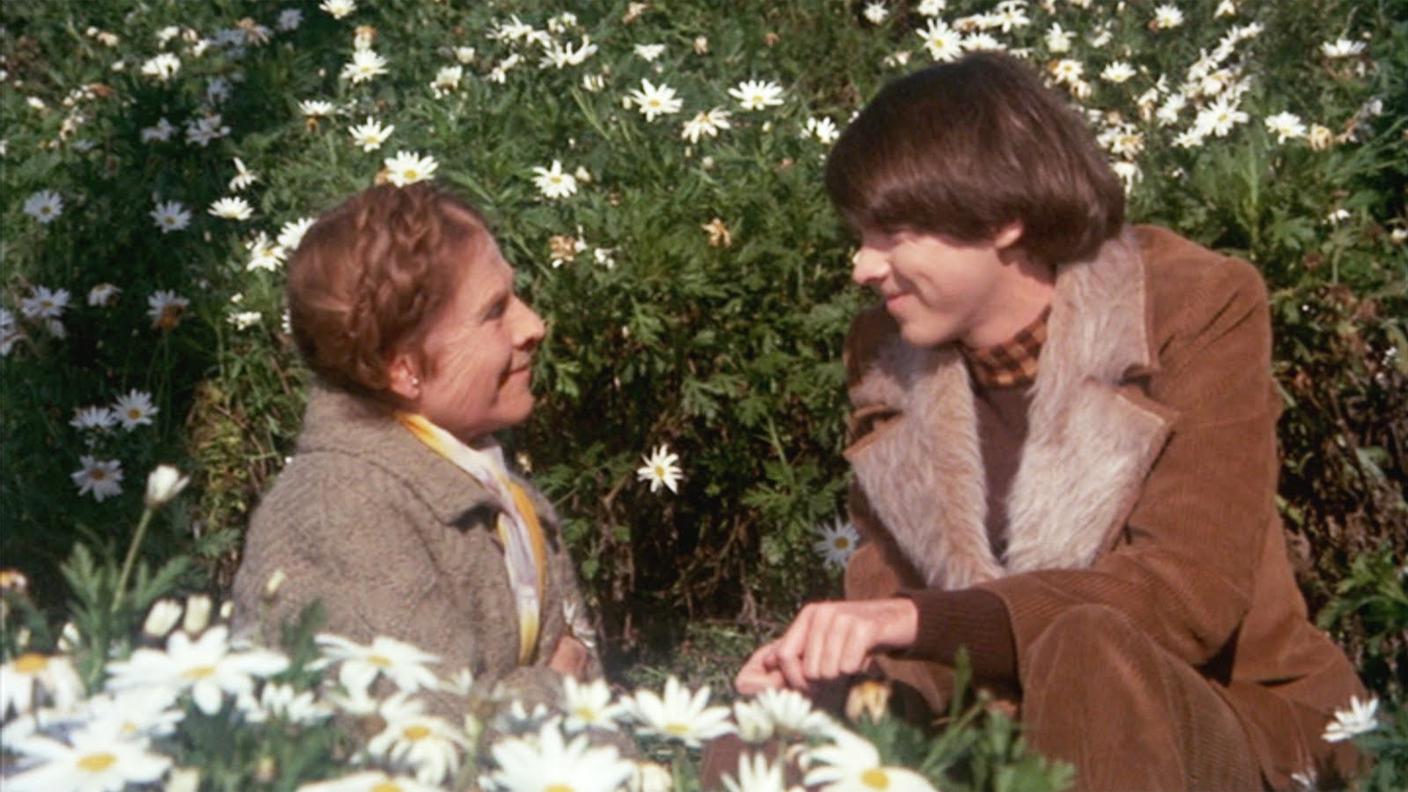 Harold_e_Maude 3