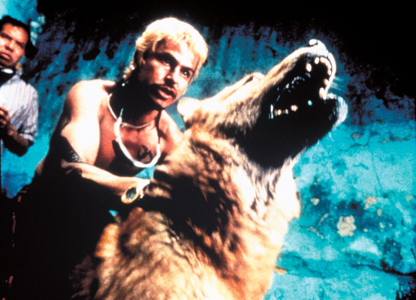 Amores Perros.jpg