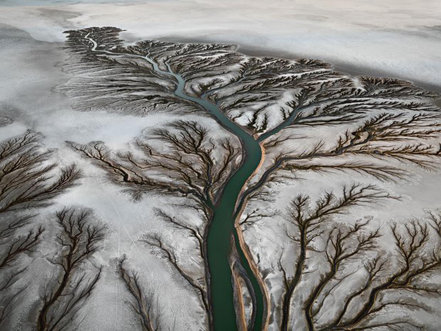 Colorado River, 2011