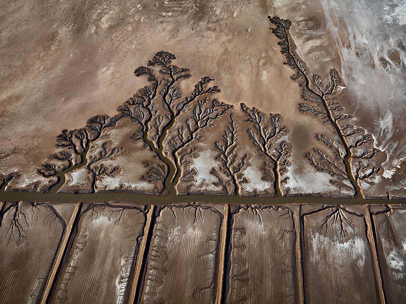 Colorado River, 2012