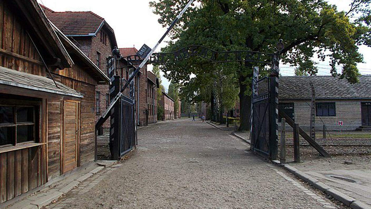 Auschwitz, Entrata