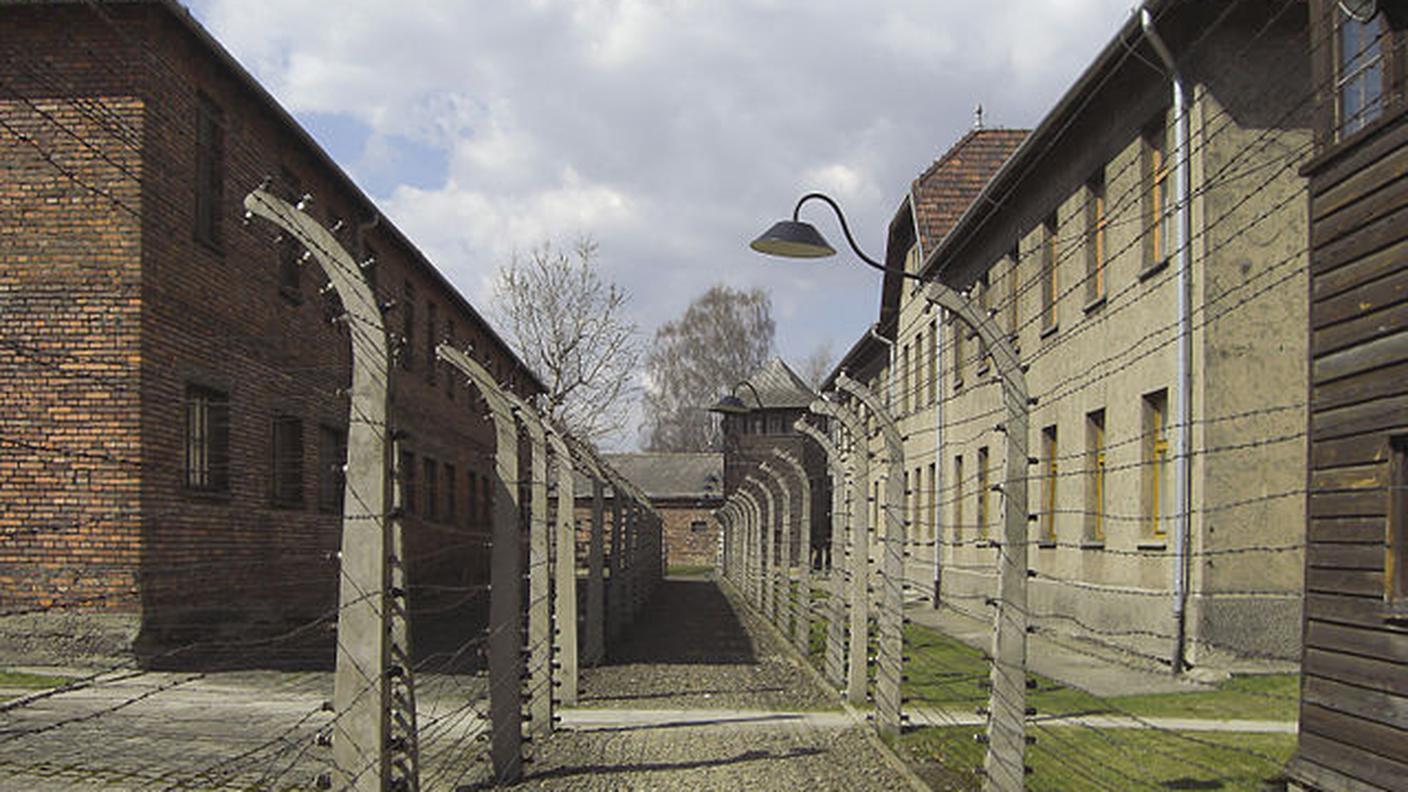 Auschwitz, Polania