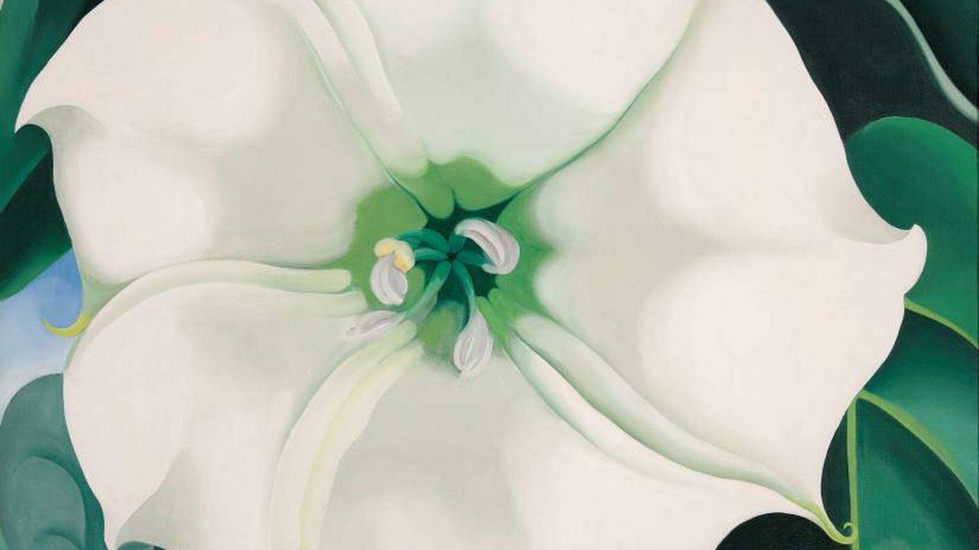 Georgia O’Keeffe, Jimson Weed - White Flower no.1, 1932. Crystal Bridges Museum of American Art, Bentonville, Arkansas 