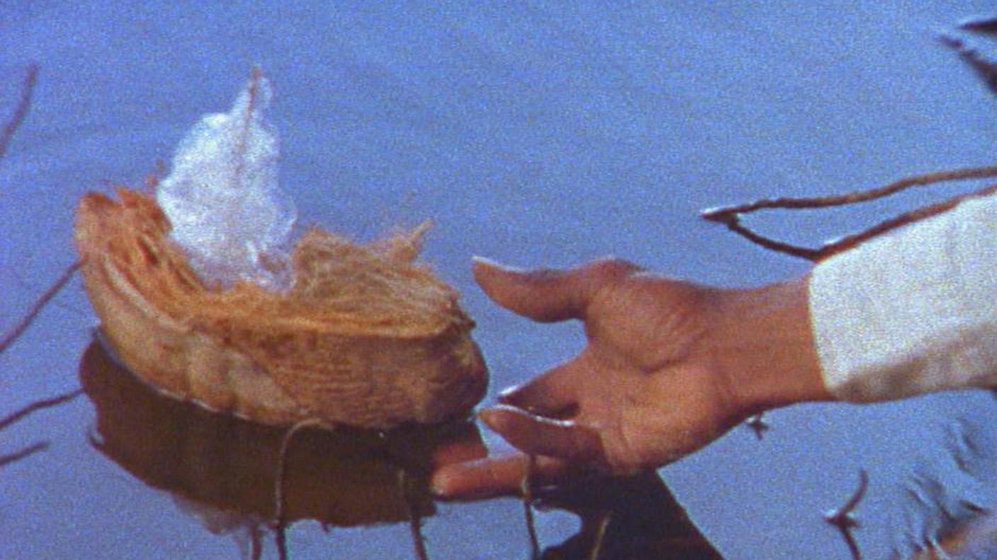 Steve McQueen, Caribs’ Leap, 2002 (still)