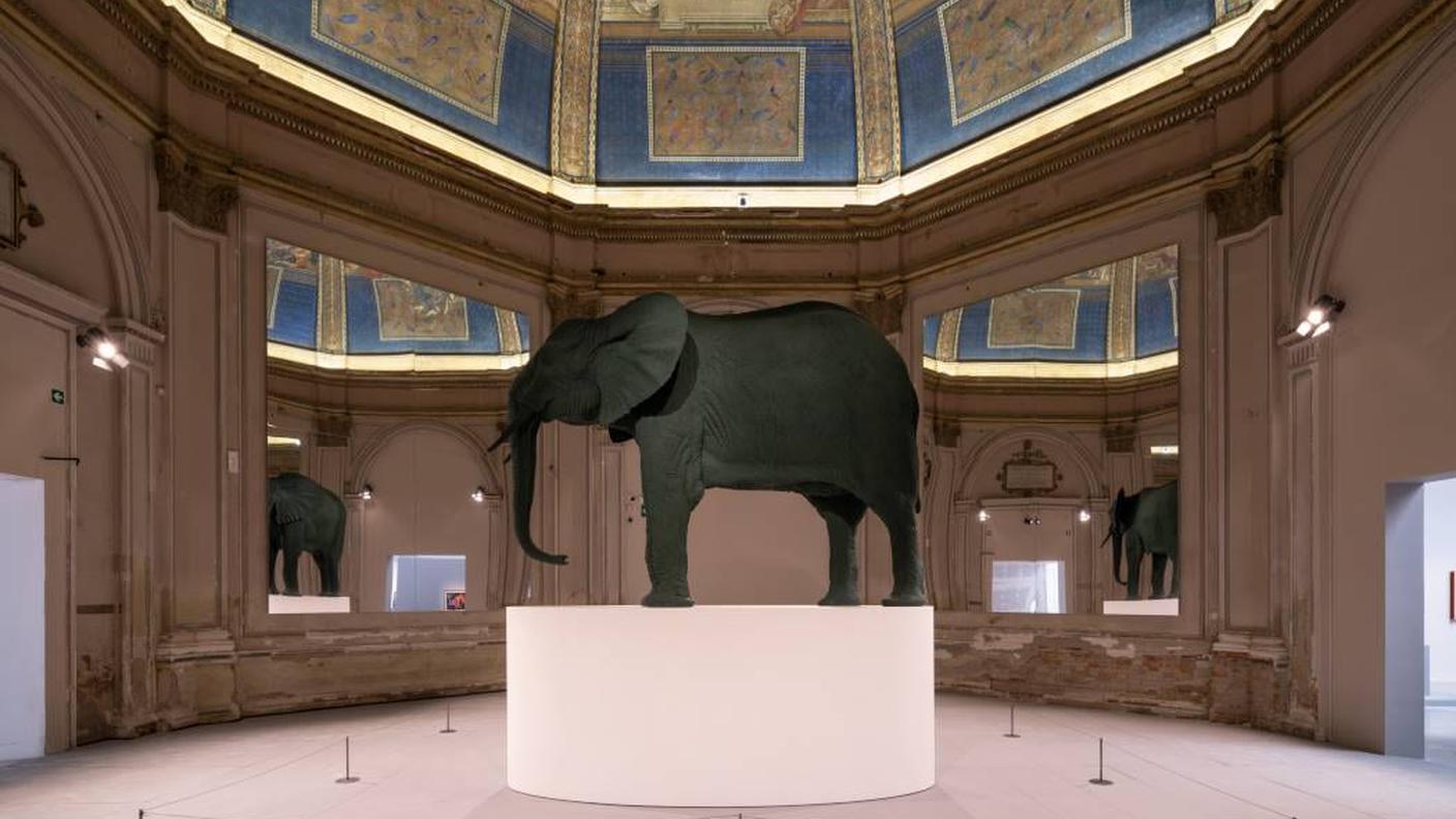 Katharina Fritsch, Elephant, 1987. 59th International Art Exhibition – La Biennale di Venezia