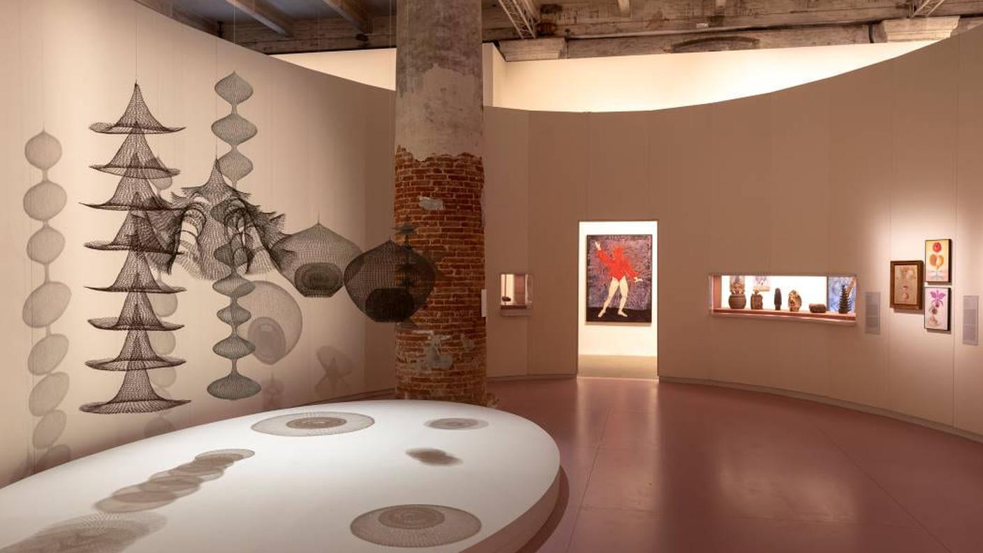 Veduta della Capsula 4, "Una foglia una zucca un guscio una rete...", 59th International Art Exhibition – La Biennale di Venezia