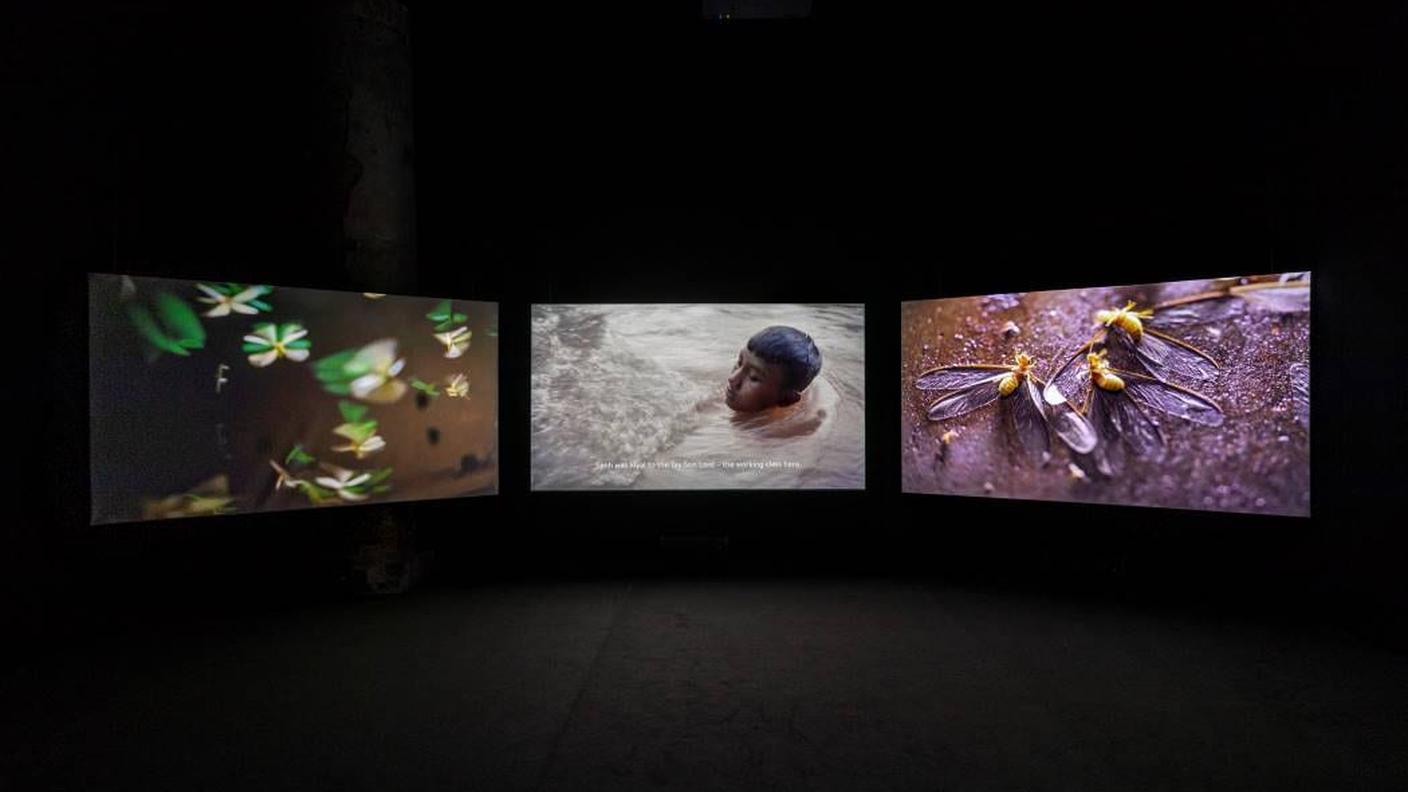 Thao Nguyen Phan, First rain, Brise-soleil, 2021. 59th International Art Exhibition – La Biennale di Venezia