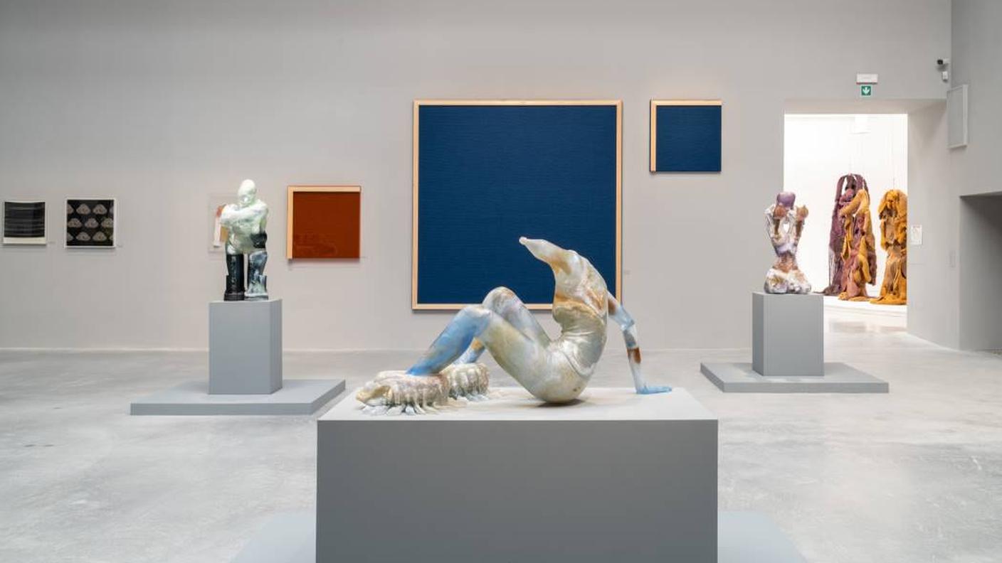 Andra Ursuta, veduta della mostra, 59th International Art Exhibition – La Biennale di Venezia