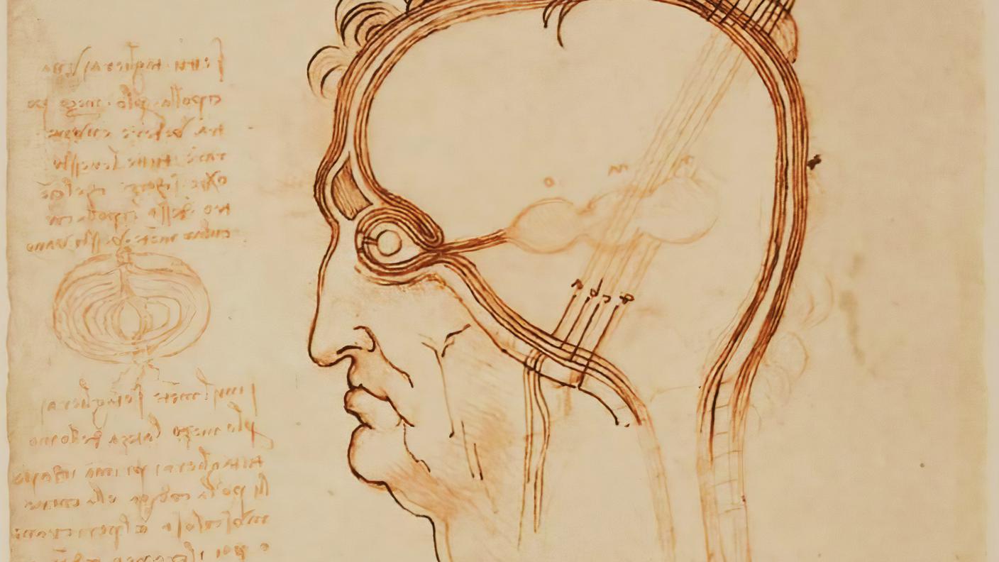 Leonardo da Vinci, Sezione di testa umana, 1490 circa