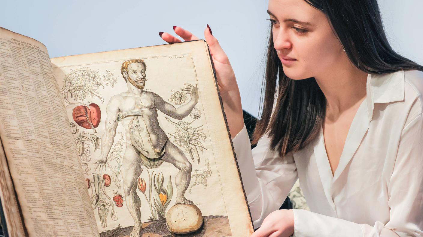 Libro pop-up di anatomia