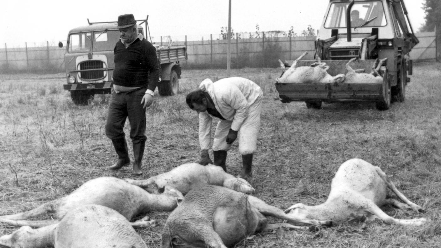 Moria di animali a seguito del disastro di Seveso (1976)