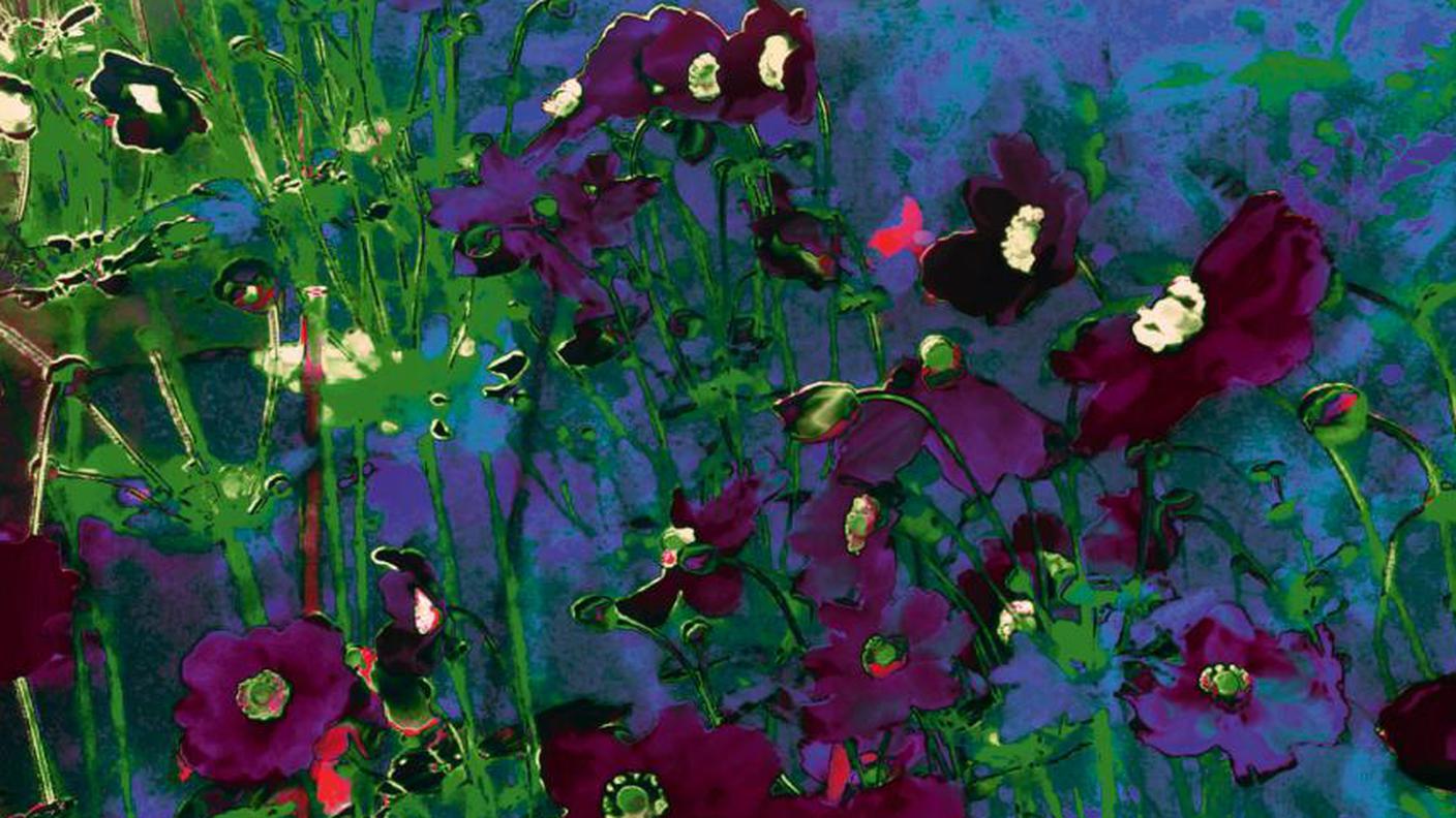 Annelies Štrba (*1947), "Momoka 1"