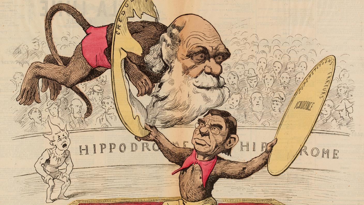 Caricatura di Charles Darwin, 1878