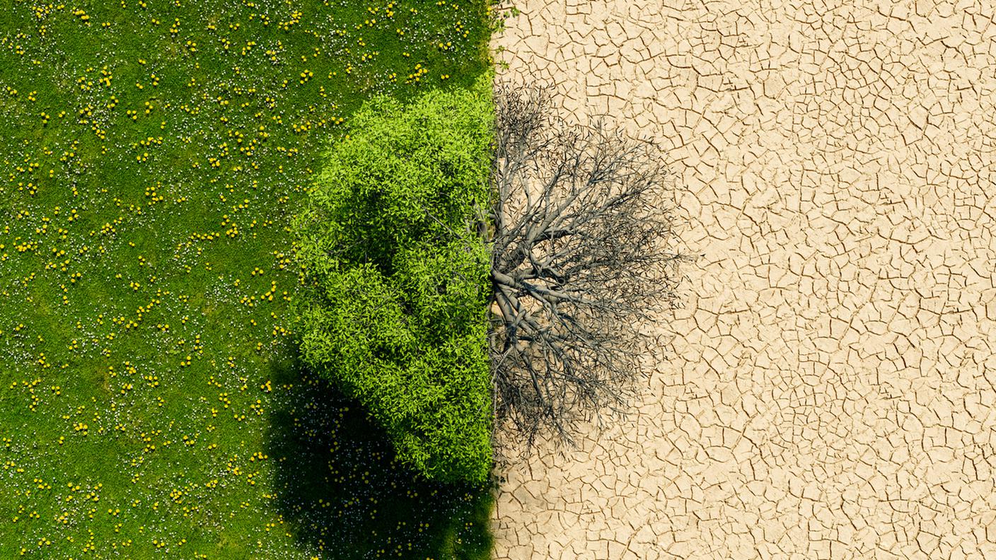 Cambiamenti climatici