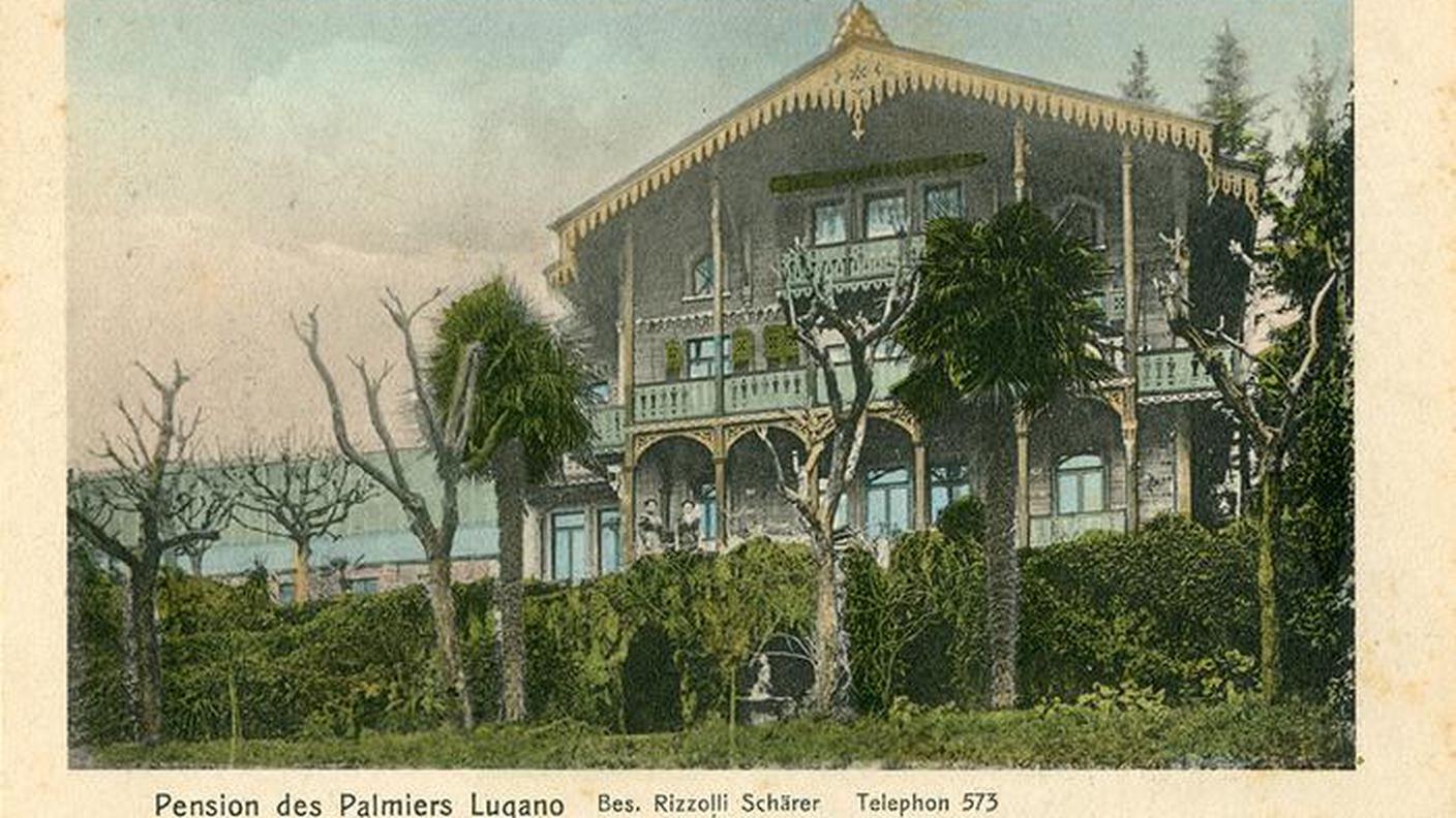 04_palme_lugano.jpg