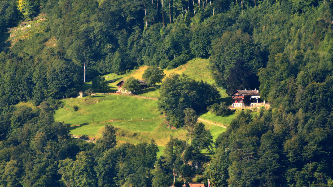 Ruetli_from_Brunnen.jpg