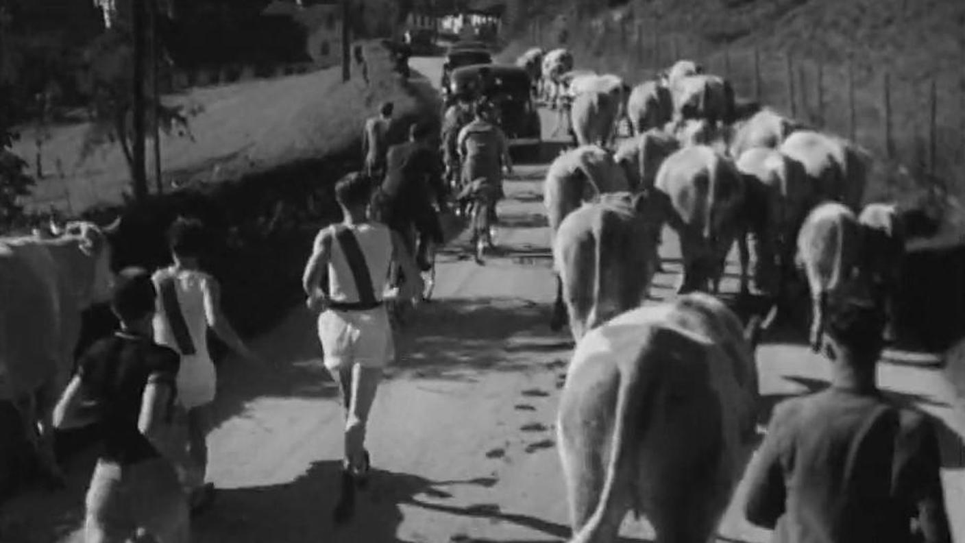 Sur la route de Morat-Fribourg [Ciné-Journal suisse].jpg