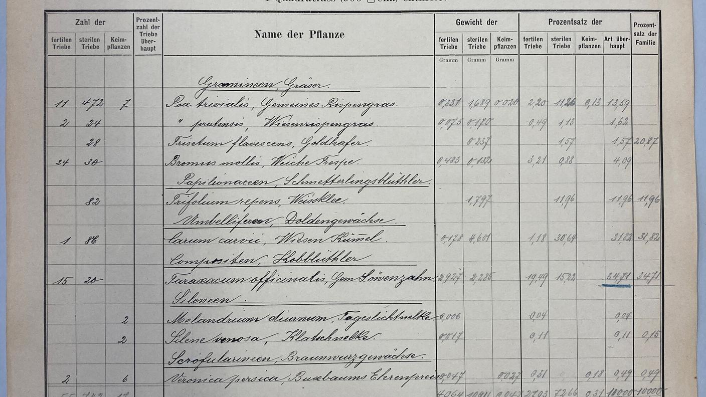 jvs13208-fig-0001-m.jpg