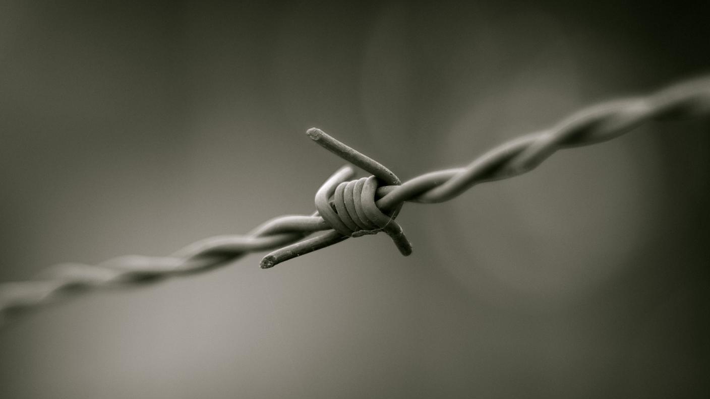 Dettaglio di un filo spinato metallico