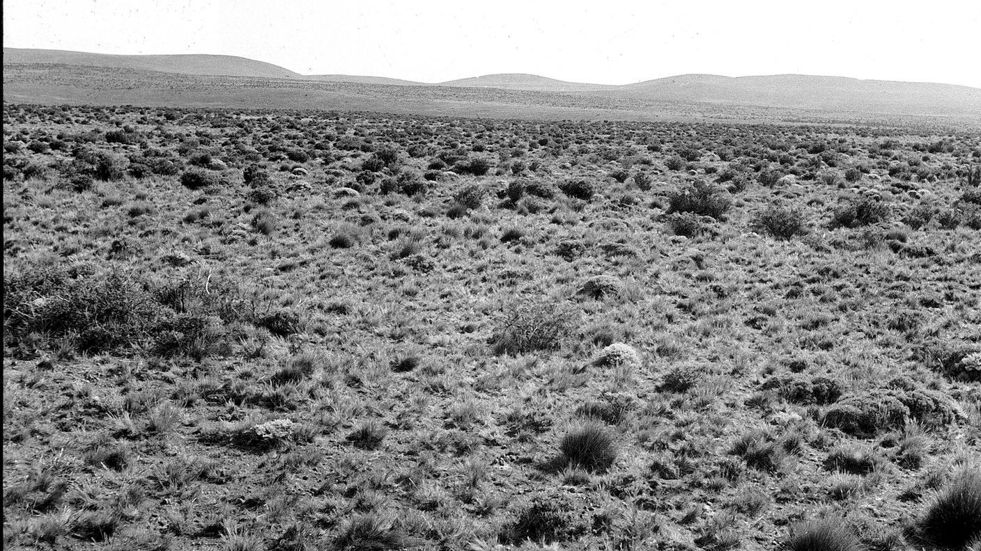 Pampa argentina nel 1939 (CC BY-SA 4.0).