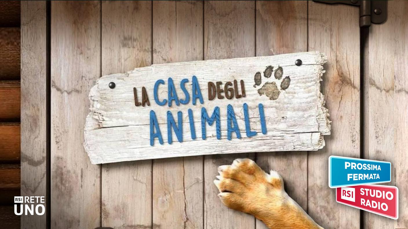 Rete Uno_casa_animali