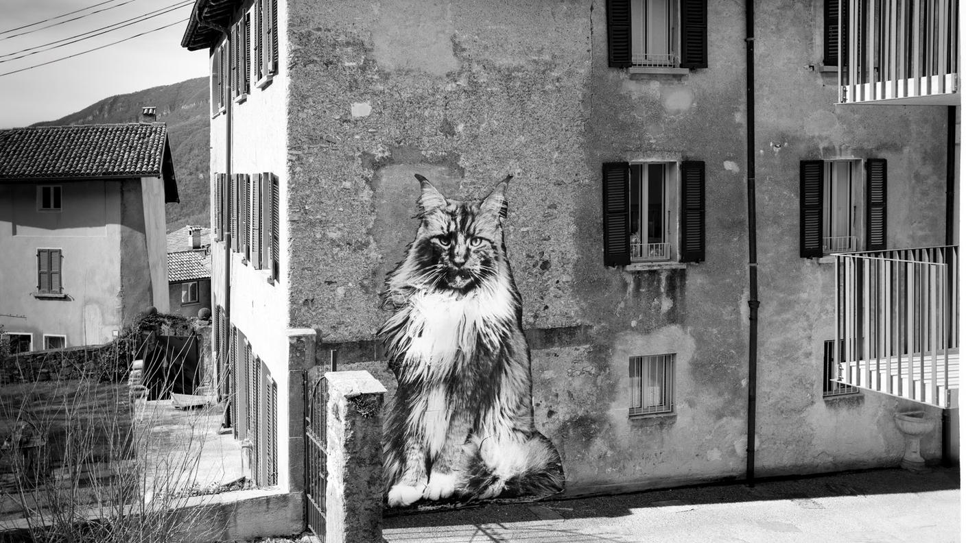 Il_paese_dei_gatti_Rovio