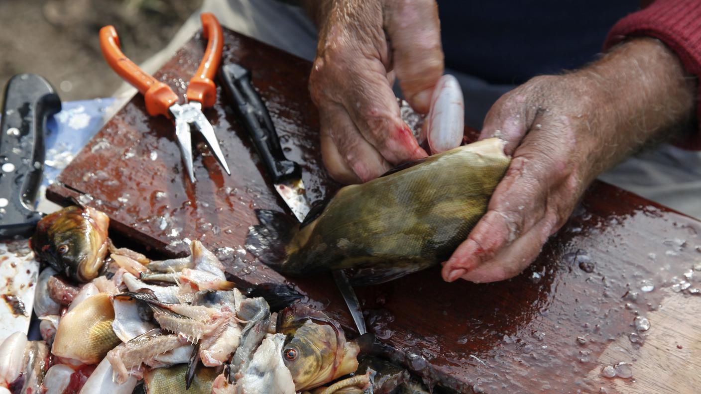 preparazione del pesce